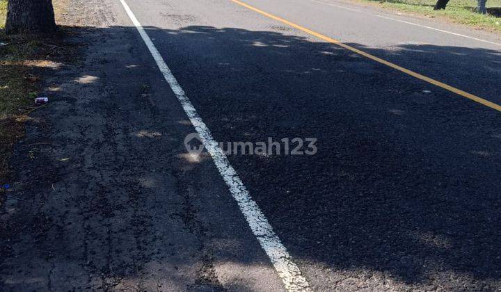 Tanah Main Road Gilimanuk Jembrana Yeh Embang Jembrana  Tanah 2