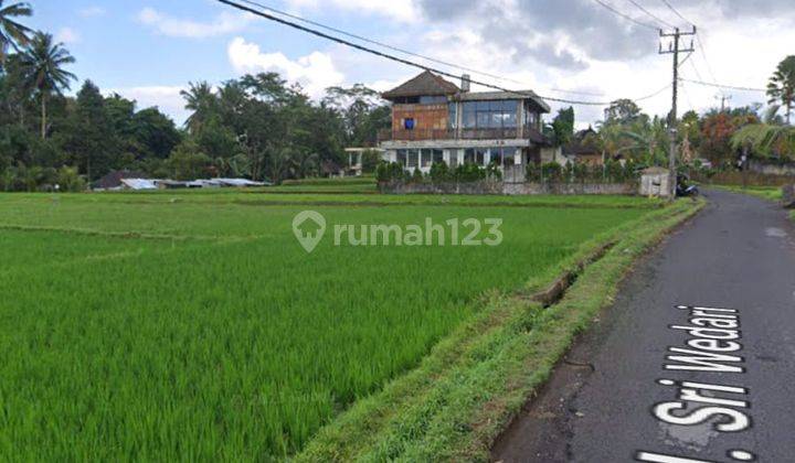 Land On Jl Sri Wedari Ubud 2