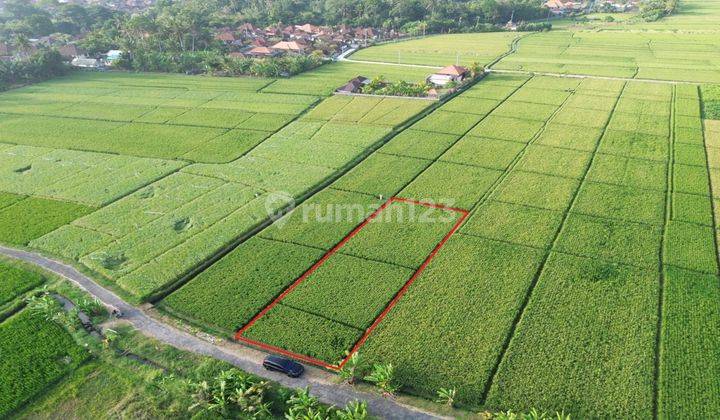 Tanah Pantai Pasut Tabanan Dekat Villa Keing 1