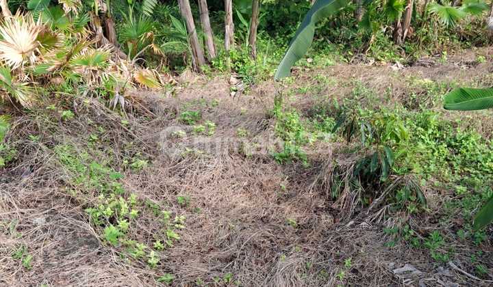 For Freehold Or Leasehold Located On Jalan Camplung Tanduk For Freehold Or Leasehold Located On Jalan Camplung Tanduk