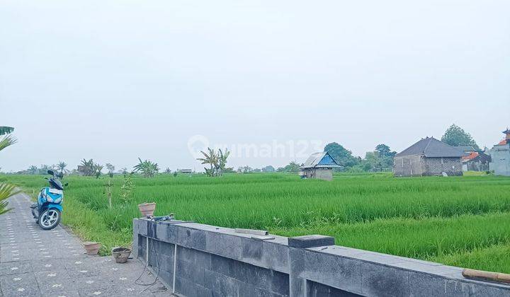 For Rent Modern House In Cepaka.full Rice Field View  2