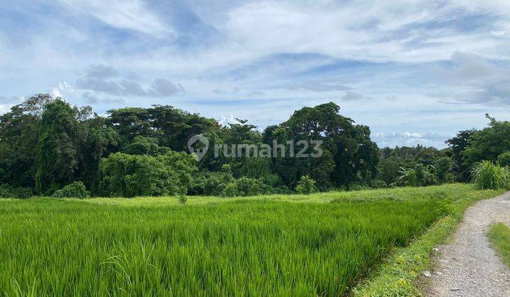 Dijual /freehold Lokasi Buwit Tabanan Bali 2