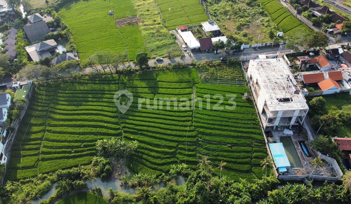 Tanah Jalan Utama Pantai Seseh Munggu Bali Tanah Jalan Utama Pantai Seseh Munggu Bali