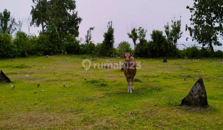 Land 57 Are Lost Beach Perancak Tourism Area 2