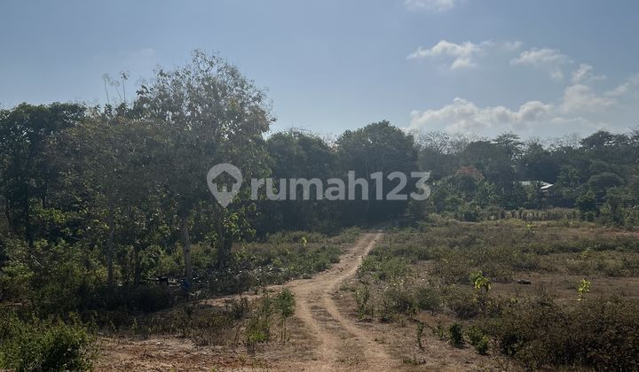 Land For Sale Near Pandawa Beach Land For Sale Near Pandawa Beach