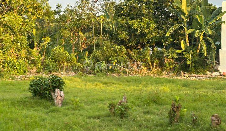 For Sale Plot Jalan Kaki Di Pantai Jumpai Klungkung  1