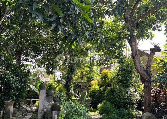 Dijual Tanah Lokasi Di Jalan Utama Ubung Kaja Denpasar Utara 1