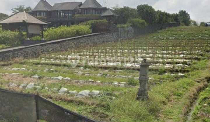 Land in Los Beach, Yeh Gangga Area, Tabanan Land in Los Beach, Yeh Gangga Area, Tabanan