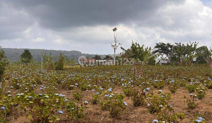 Dijual Tanah Lokasi Singaraja Asah Gobleg 1