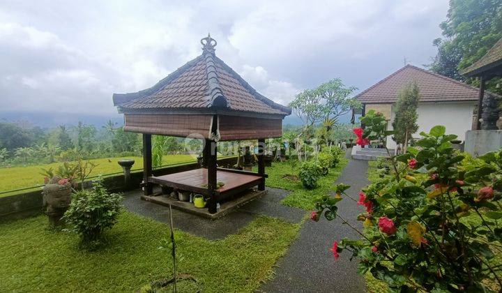 Rumah Semi Villa Istimewa, View Gunung, Sawah, Sunset 2