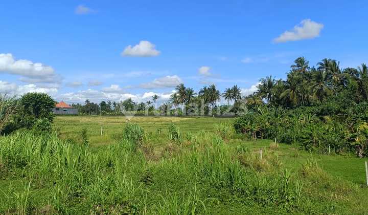 For Sale: Beach Land in Nyanyi, Tabanan, Bali For Sale: Beach Land in Nyanyi, Tabanan, Bali