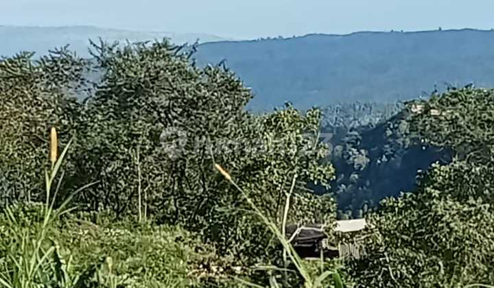 Dijual Tanah 29 Are Di Danau Tamblingan Munduk Singaraja Bali 1