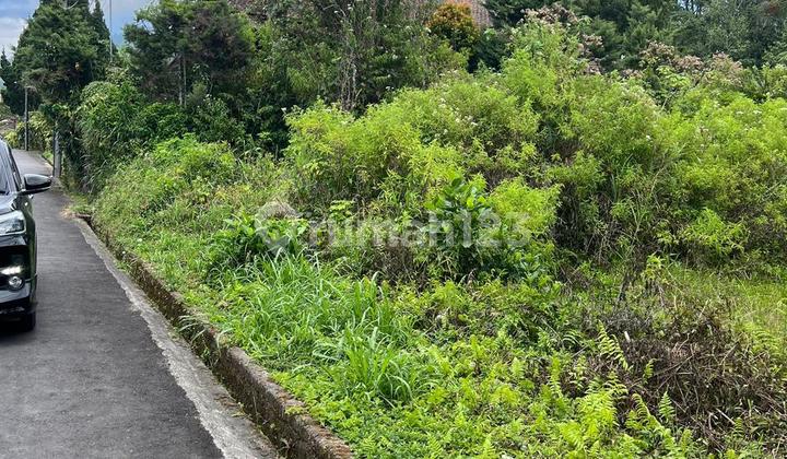 For Sale Premium Land Location in Bedugul Next to The Danau Bedugul Hotel. For Sale Premium Land Location in Bedugul Next to The Danau Bedugul Hotel.