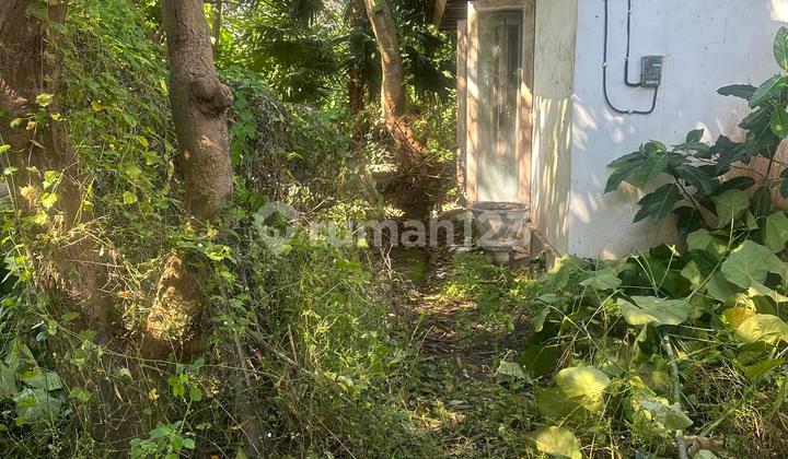For Sale Land At Pantai Gumucik Ketewel View Sawah  2