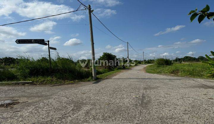 Land 5 Are In Kedungu Tabanan Tourism Zoning 2