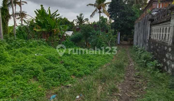 Di Jual Tanah Sukawati Kontur Tanah Datar Dekat Ubud 
