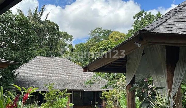 Di Jual Murah Tanah + Bangunan Villa di Canggu