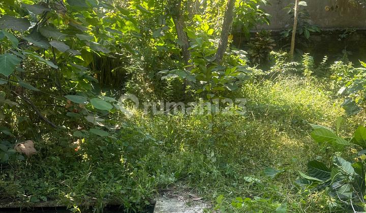 For Sale Land At Pantai Gumucik Ketewel View Sawah  1
