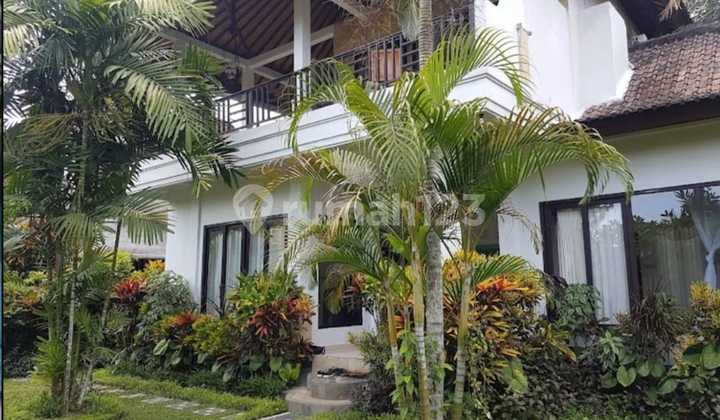 For Sale Resort Located in Ubud Gianyar Bali For Sale Resort Located in Ubud Gianyar Bali