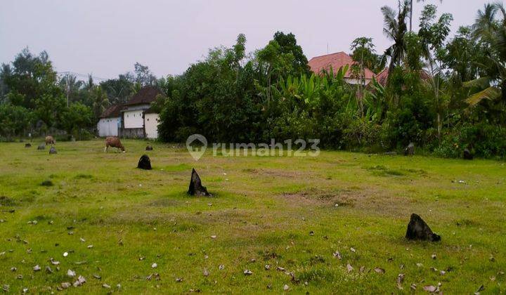 Land 57 Are Lost Beach Perancak Tourism Area 1