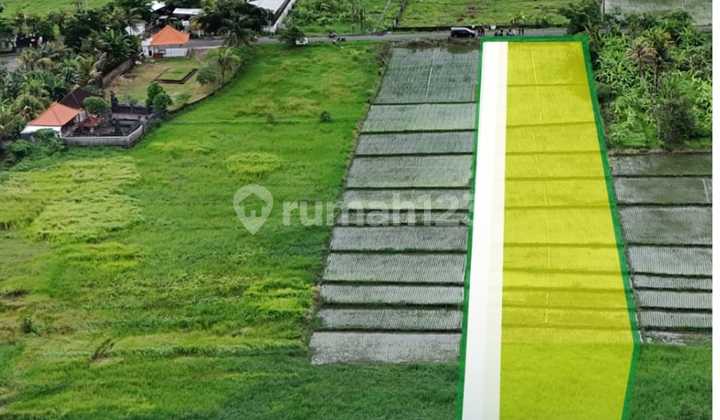 For Sale Land with Rice Field View Kelating Beach Tabanan