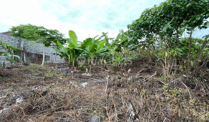 Land For Sale In Beachside Area Pererenan 2