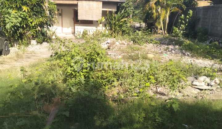 Dijual Tanah Nusa Dua Dkt Tol Bali Mandaradkt Baipas Ngurah Rai Dijual Tanah Nusa Dua Dkt Tol Bali Mandaradkt Baipas Ngurah Rai