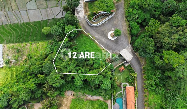 Land For Lease Kedungu Tabanan River Front