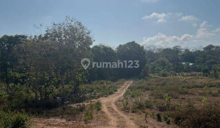 Land For Sale Globally Near Pandawa Beach And Melasti 2