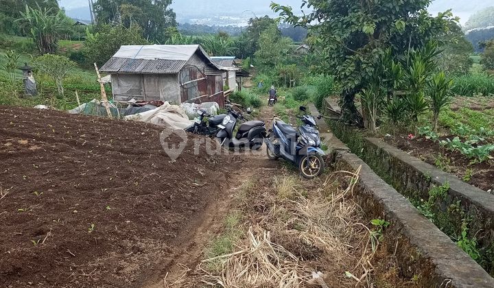 Rare Super Land for Sale, with Cool Air in Bedugul Candikuning