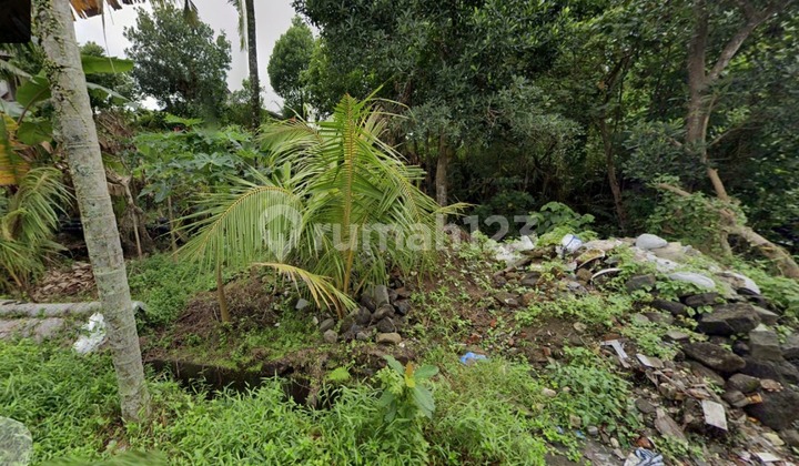 Freehold : Tanah Di Nusa Indah, Mas Ubud 6 Are Rice Field View