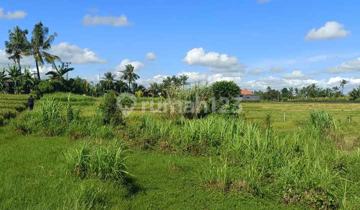 For Sale: Beach Land in Nyanyi, Tabanan, Bali For Sale: Beach Land in Nyanyi, Tabanan, Bali