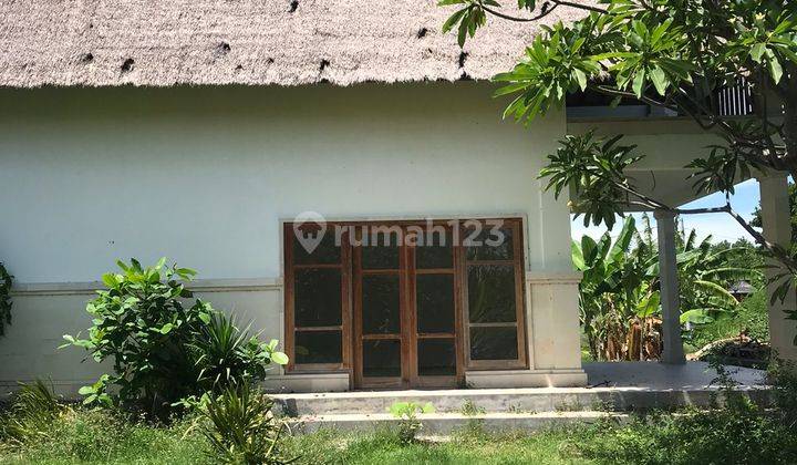 Dijual Cepat Tanah Lokasi Di Tangguwisia Buleleng 2