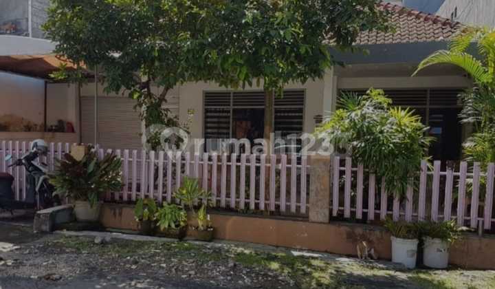 Dijual Tanah Isi Bangunan Dikawasan Kreneng