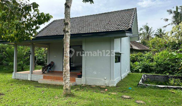 Wanagiri Kauh, Selemadeg - Tabananlingkungan Villa2 1