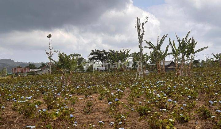 Dijual Tanah Lokasi Singaraja Asah Gobleg 2