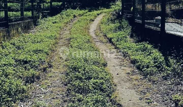 For Sale Productive Agricultural Land Located in Batunya Village, Baturiti For Sale Productive Agricultural Land Located in Batunya Village, Baturiti