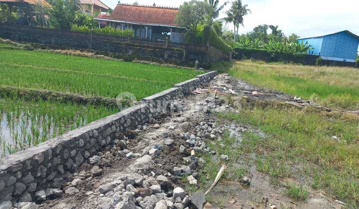 Land for Sale in Tibubiu, Kerambitan, Tabanan