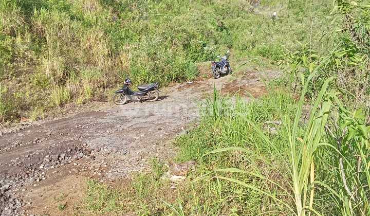 Dijual Tanah 29 Are Di Danau Tamblingan Munduk Singaraja Bali 2