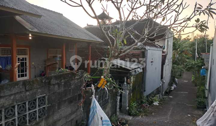 Dijual Rumah Kos2san Lantai 1 Berlokasi Dalung Tegal Jaya Dijual Rumah Kos2san Lantai 1 Berlokasi Dalung Tegal Jaya