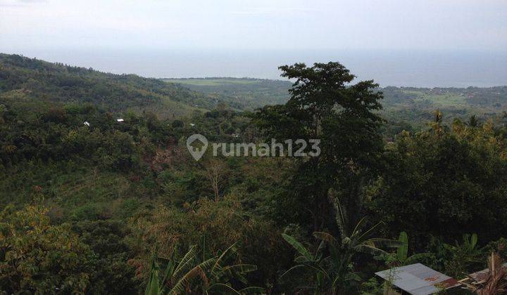 Dijual Tanah Full View Ocean Di Lovina Sukasada Buleleng - Bali 2