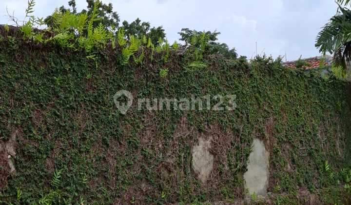 READY TO OCCUPY HOUSE FOR RENT IN KEMANG 380 MILLION/YEAR 2