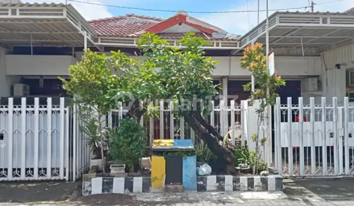 Kutisari Rumah Lama Perlu Renovasi Strategis Dekat Petra
