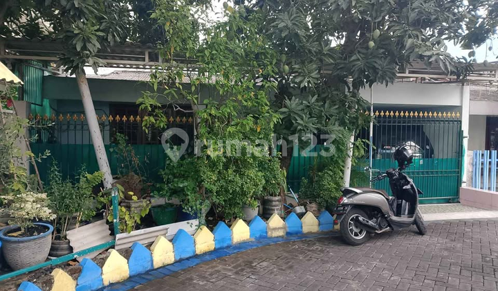 Rumah Terawat Bhaskara Row Jalan 2 Mobil Strategis Dekat Mulyosari, Pakuwon City Rumah Terawat Bhaskara Row Jalan 2 Mobil Strategis Dekat Mulyosari, Pakuwon City