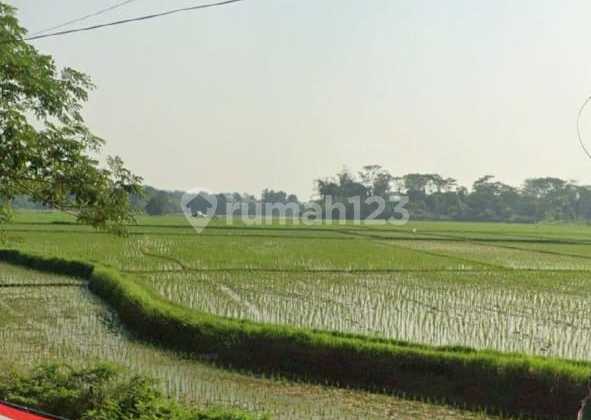 Dijual & Disewakan Tanah Strategis Di Jalan Raya Jonggol, Bogor Dijual & Disewakan Tanah Strategis Di Jalan Raya Jonggol, Bogor