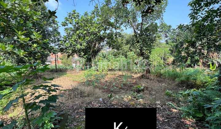 Land for Sale Below NJOP Price in Bogor Land for Sale Below NJOP Price in Bogor