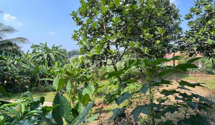 Land for Sale Below NJOP Price in Bogor Land for Sale Below NJOP Price in Bogor