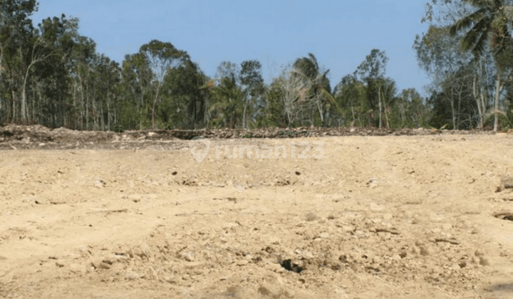 Jual Tanah Kulon Progo, Tanah Dekat Stadion Cangkring  3