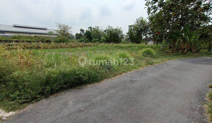 Tanah Palagan View Sawah SHM Pekarangan Dekat Kampus Uii 1