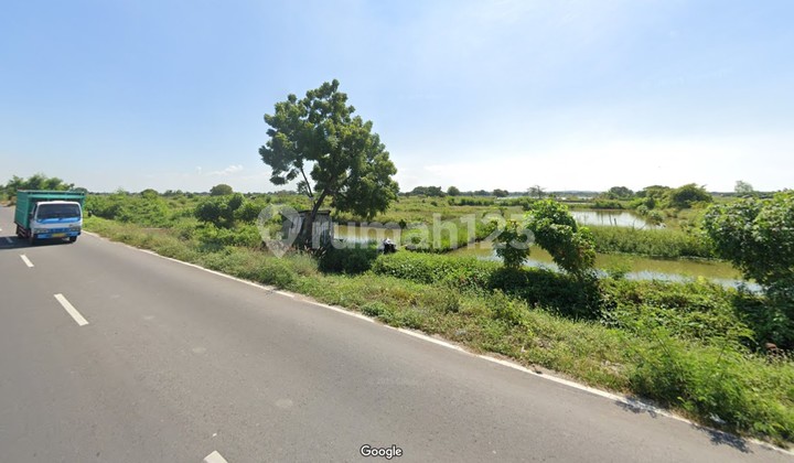 Betoyo Manyar Gresik Industrial Land Near JIIPE and Toll Gate
